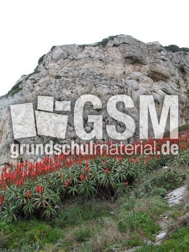 Spanien Andalusien Gibraltar 016.JPG